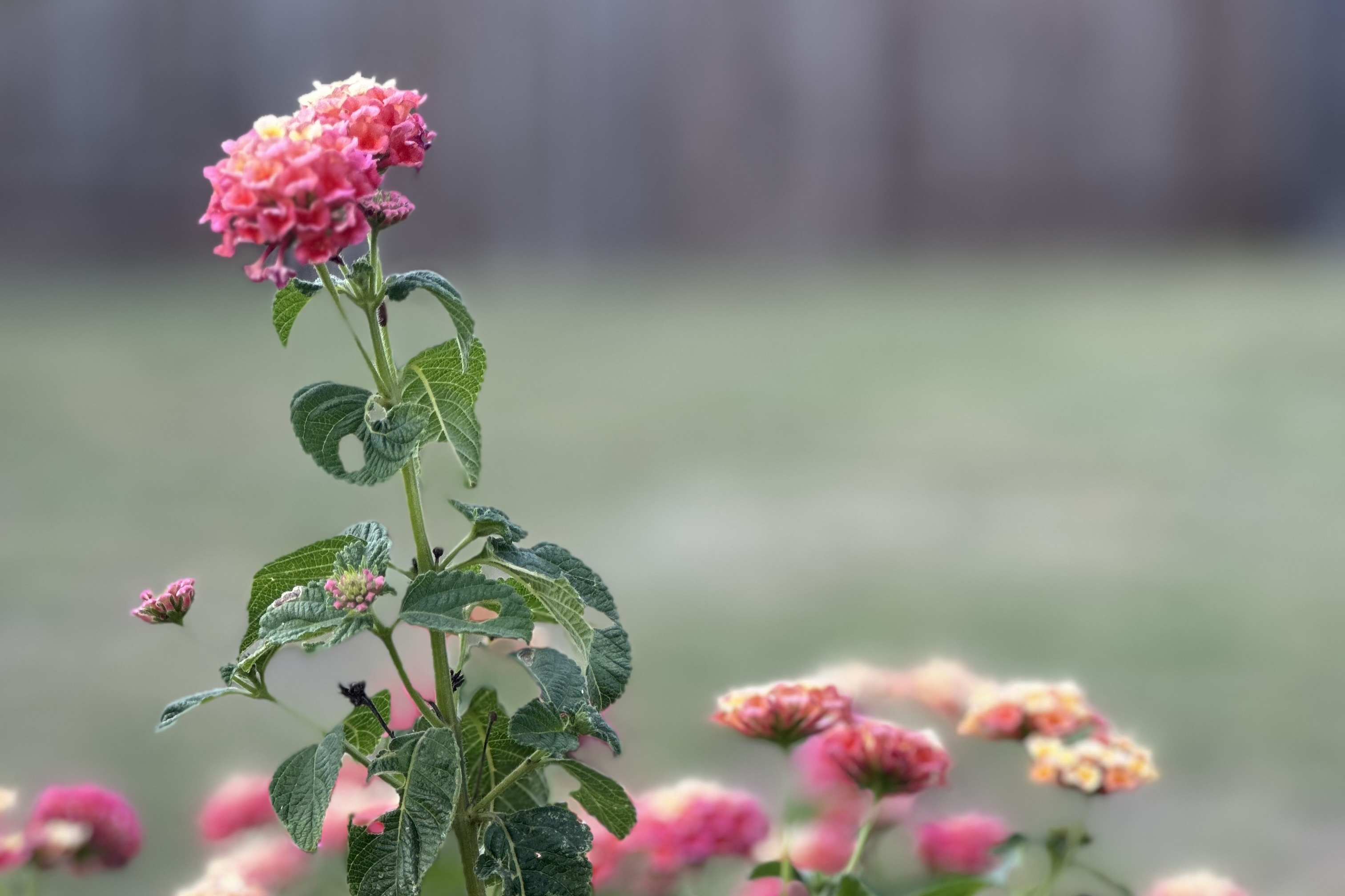 Created to Create: Celebrating Your God-Given Identity