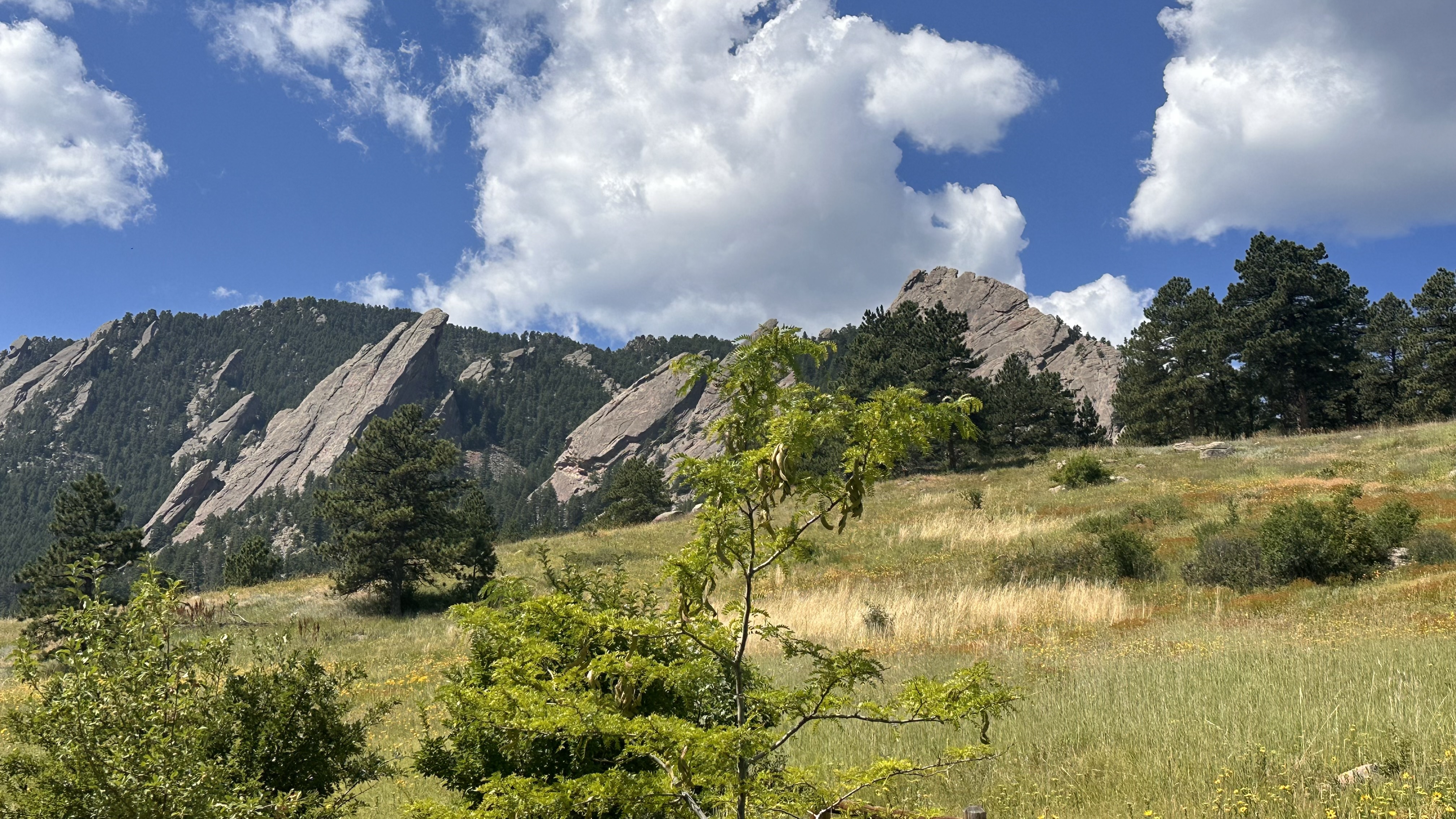 What if Long Life is Not Just a Gift, but God’s Grace?