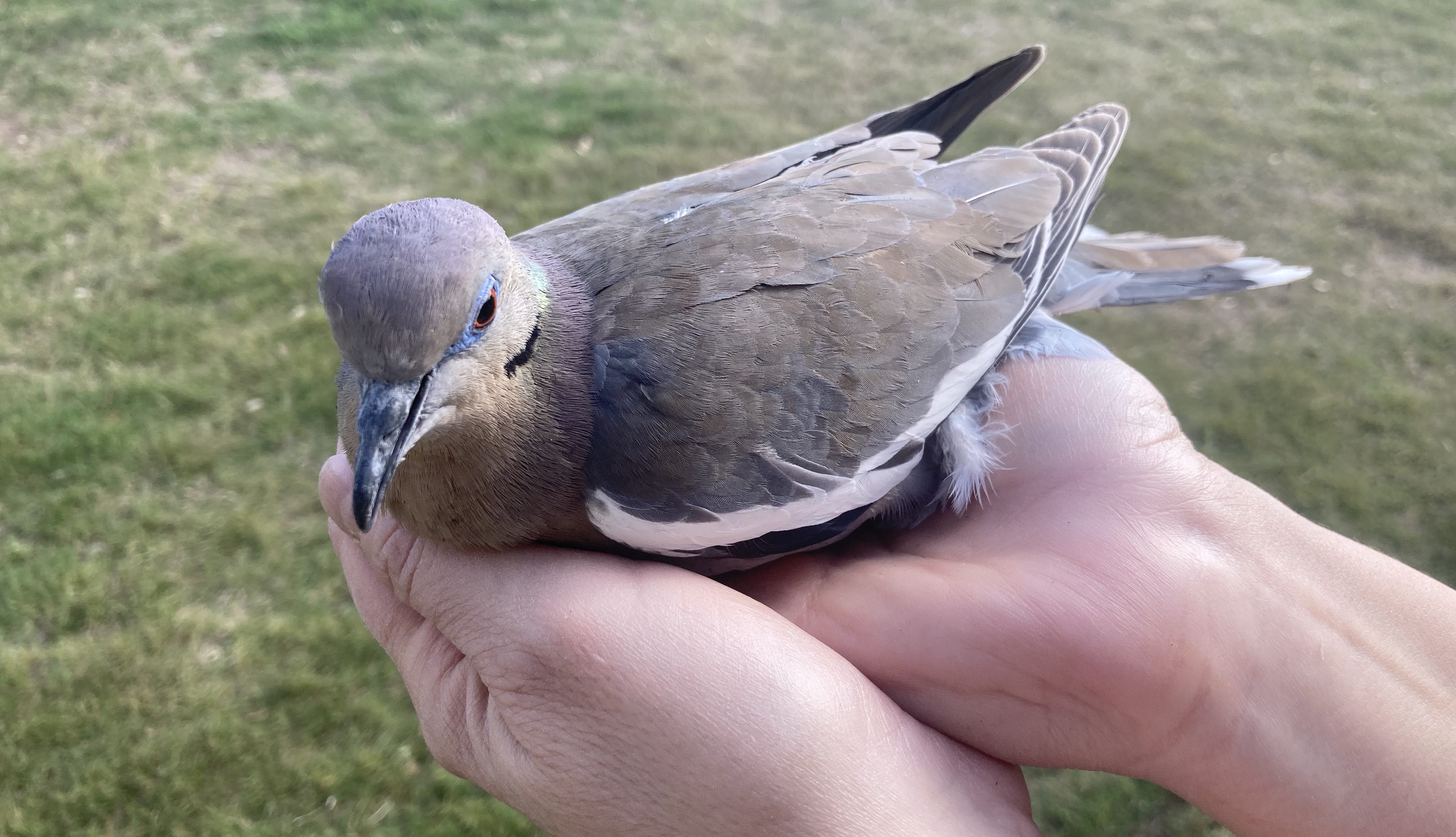 How God Helps Us Recover from Life’s Setbacks