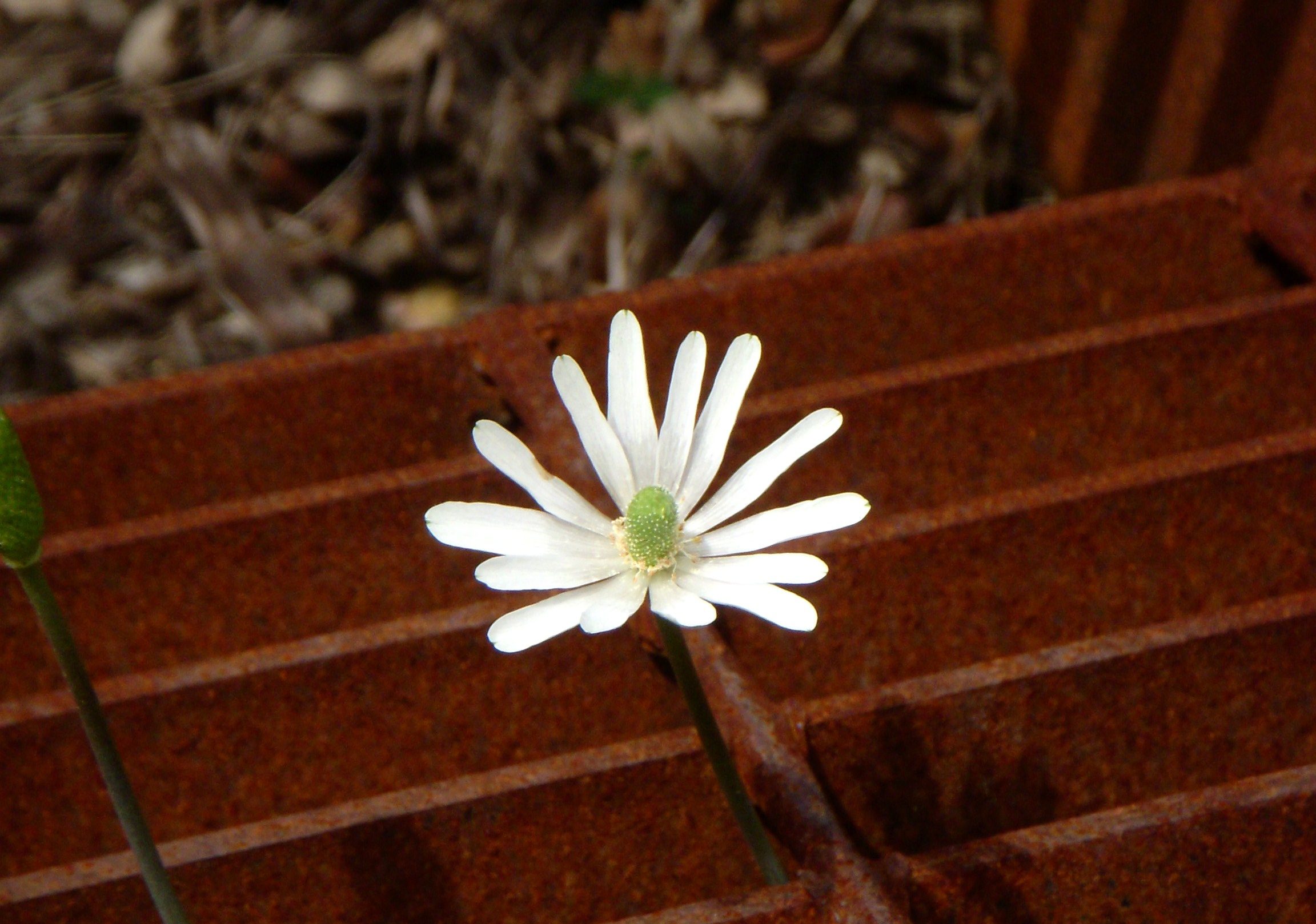 Moving On from What Is Now Behind: Living Present with God’s Grace