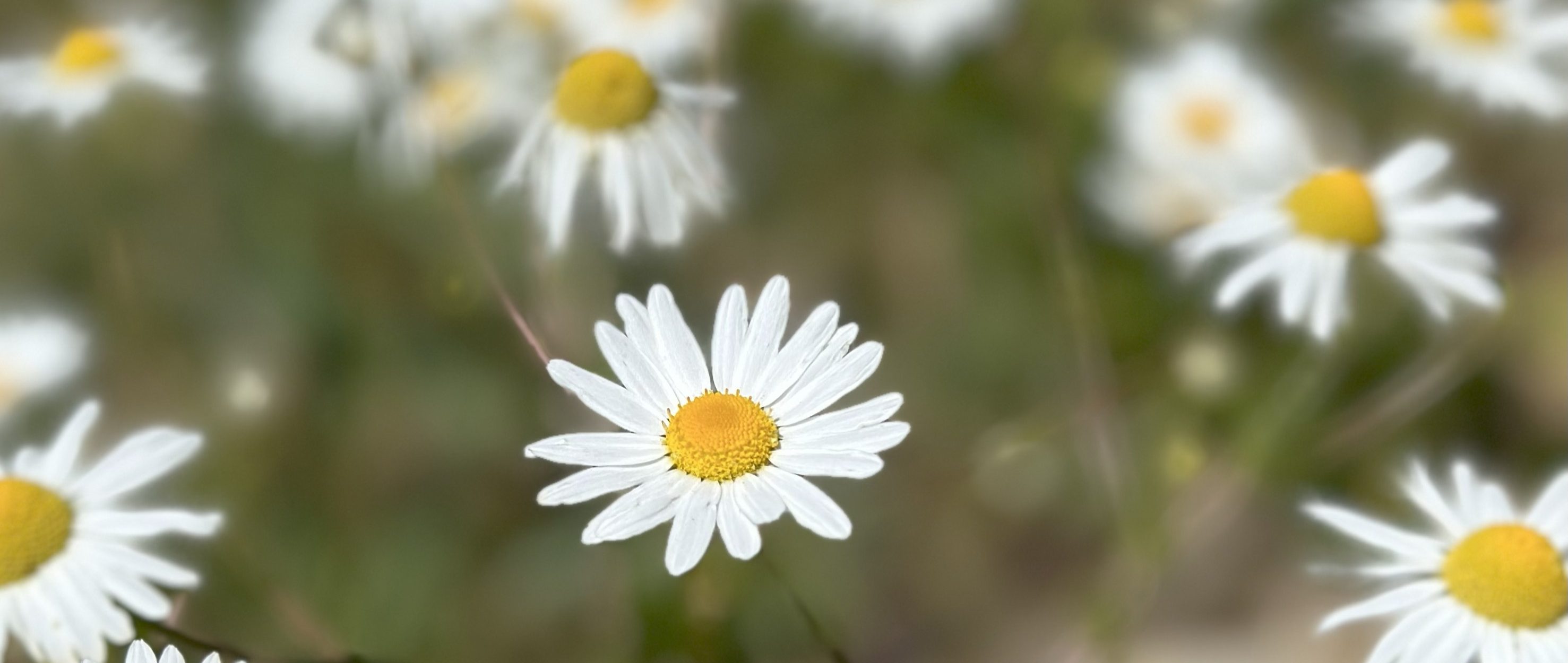 When Grace Doesn’t Make Sense—But Still Finds You