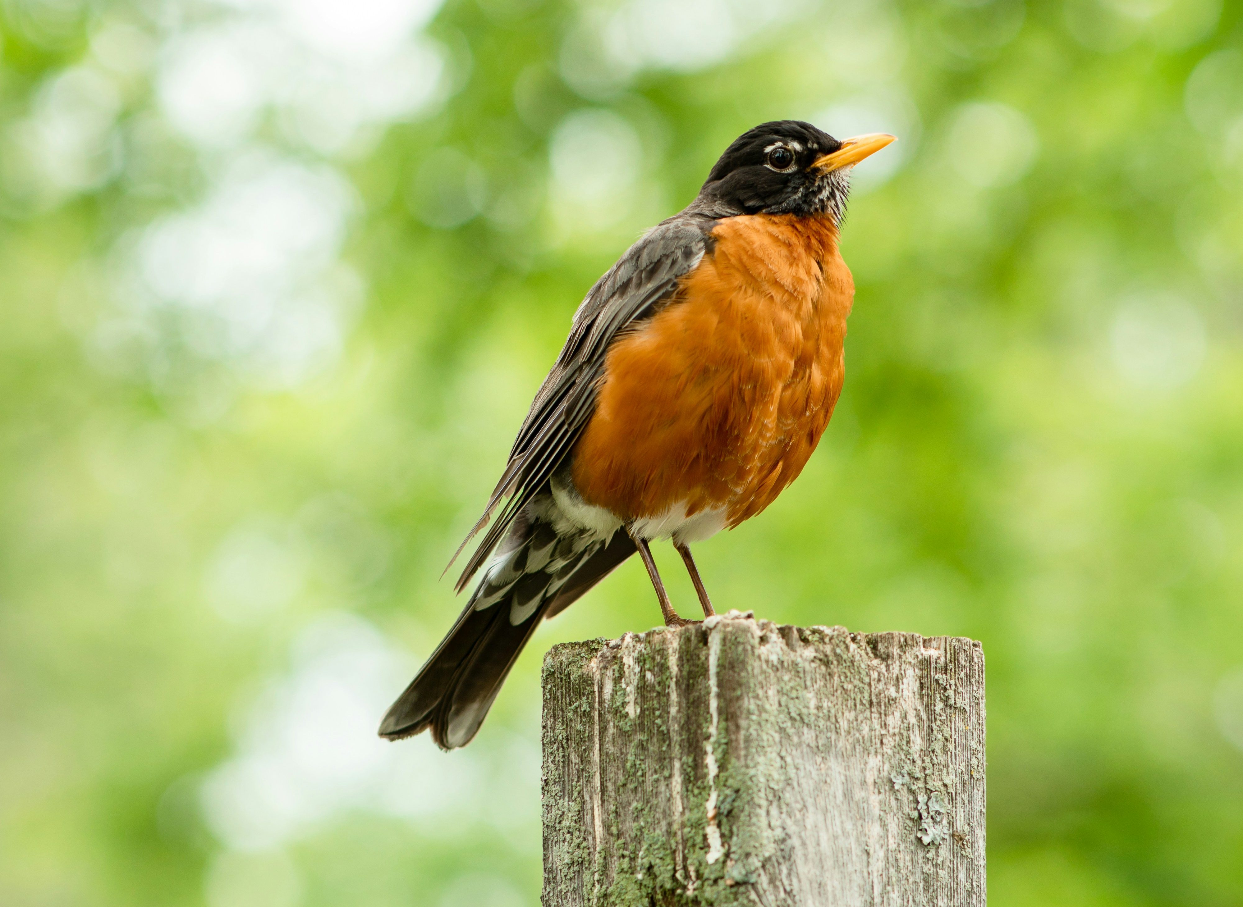 Don’t Overlook God’s Quiet Knock